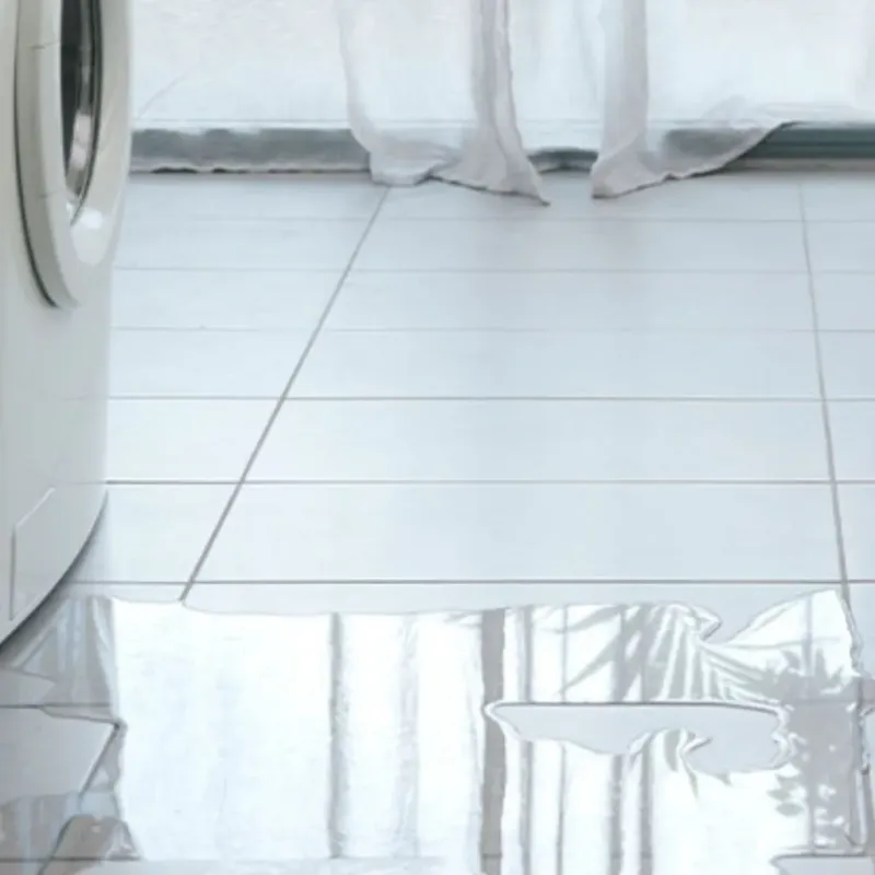 Appliance Leak Cleanup in Astatula, FL